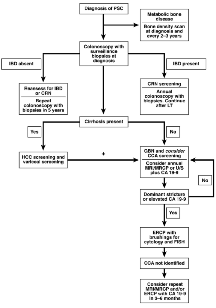 Primary Sclerosing Cholangitis (PSC) - Texas Liver Institute